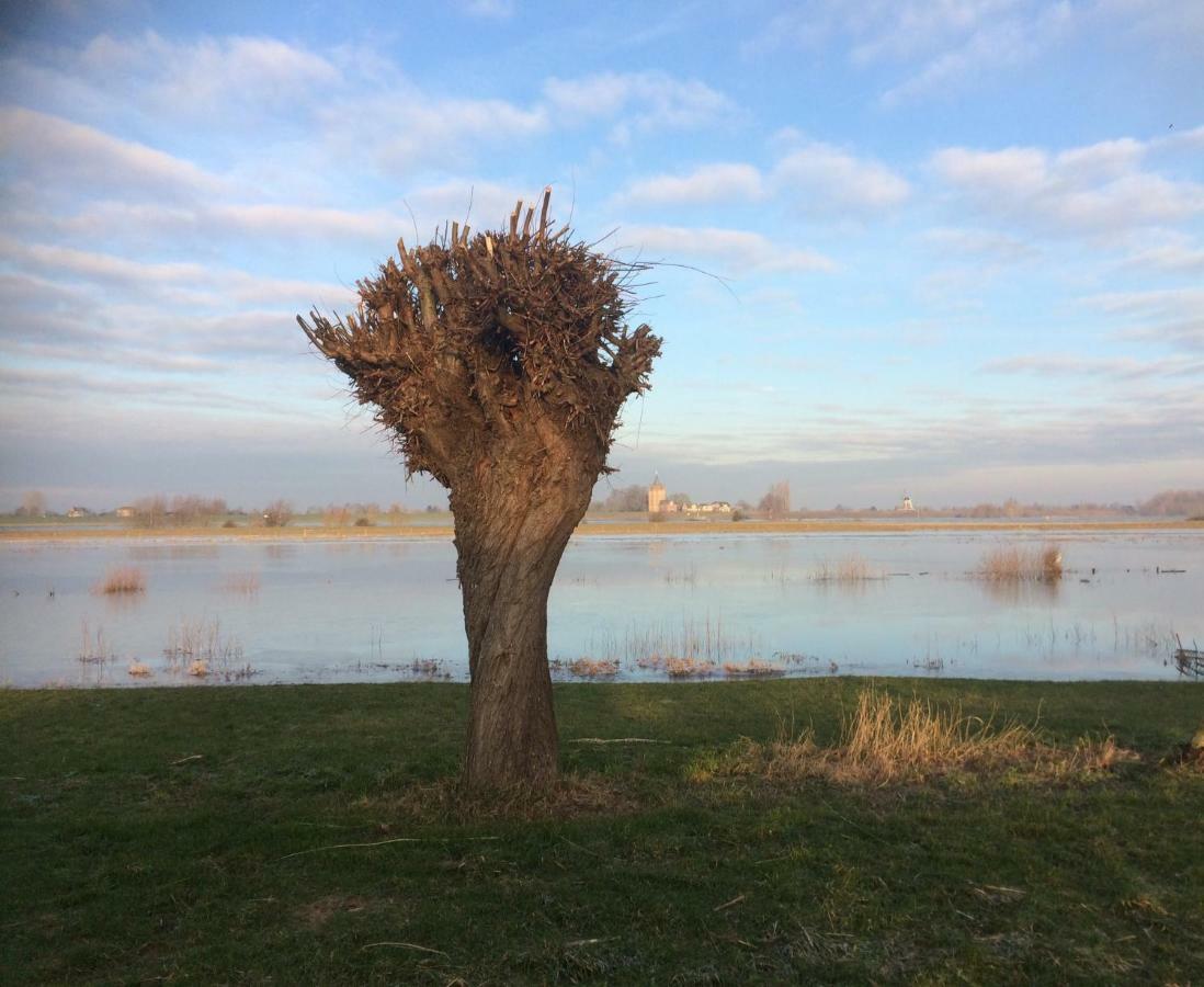 Unique Place On The River Waal Heerewaarden Luaran gambar